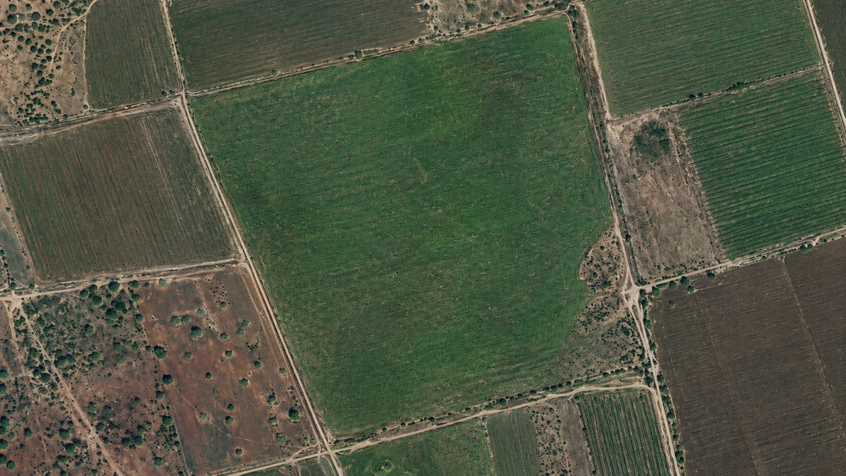 Satellite image after